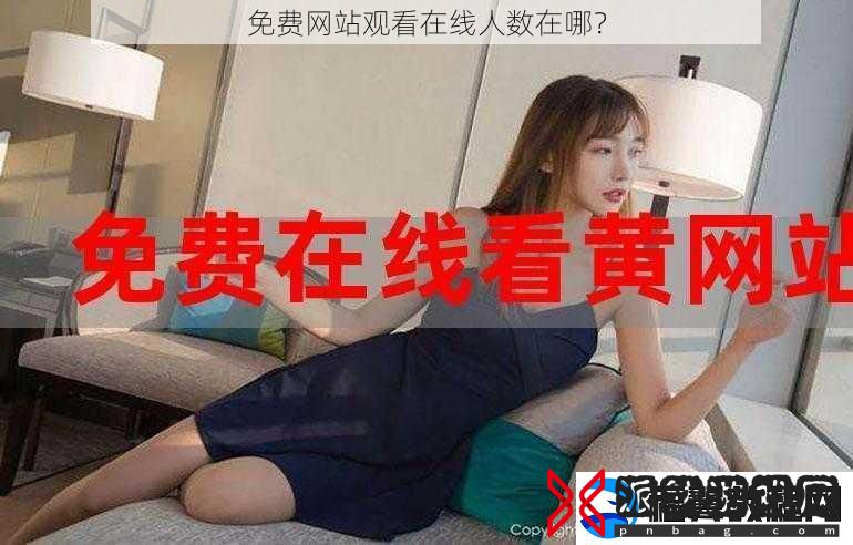 免费站观看在线人数在哪