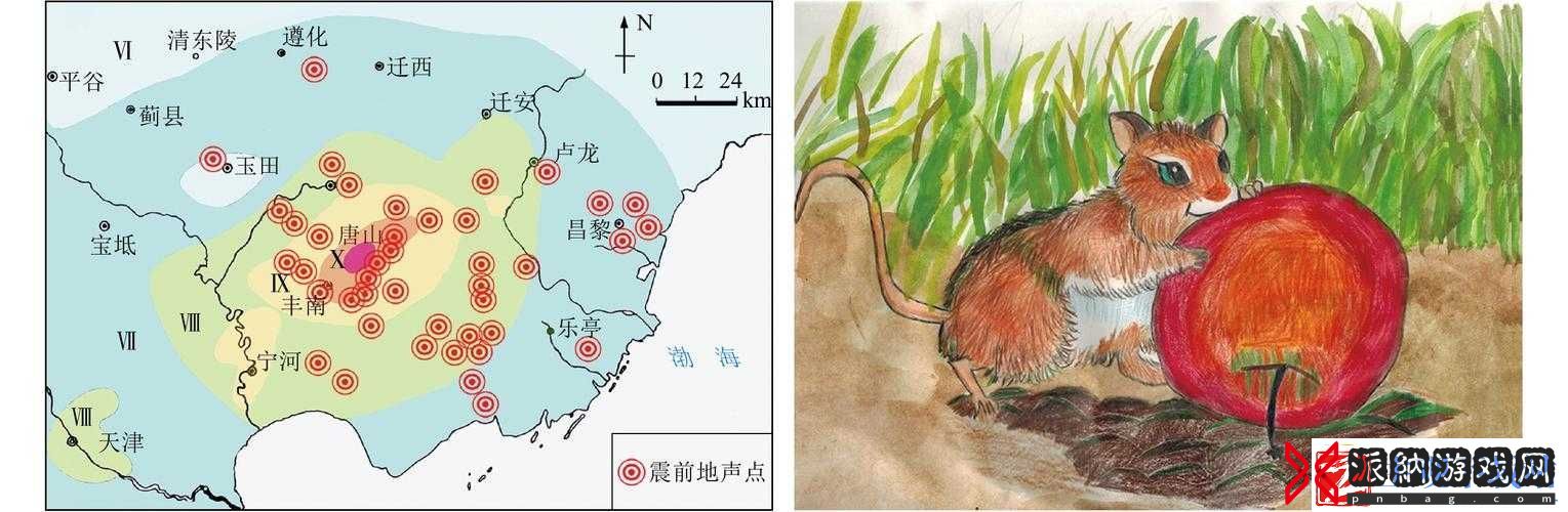 松紧重要还是水重要：二者同等重要