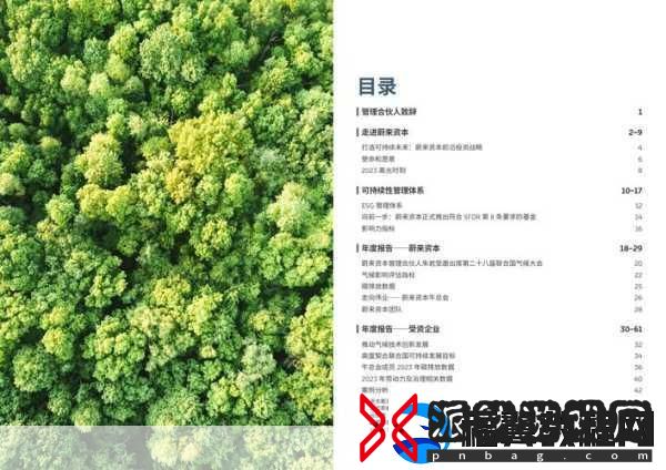 丰年经继拇4的机能量发展-1.-丰年经继拇4的机能量与可持续发展探索