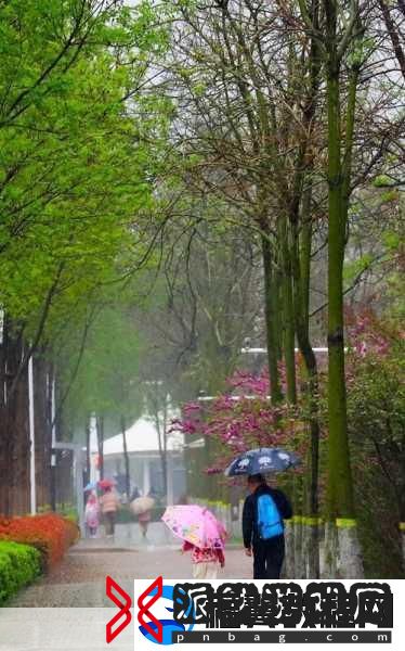 填得很满感觉春雨回答